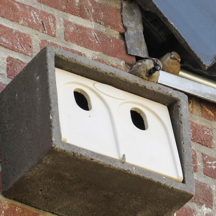 Vivara Pro Build-in House Sparrow Nest Box