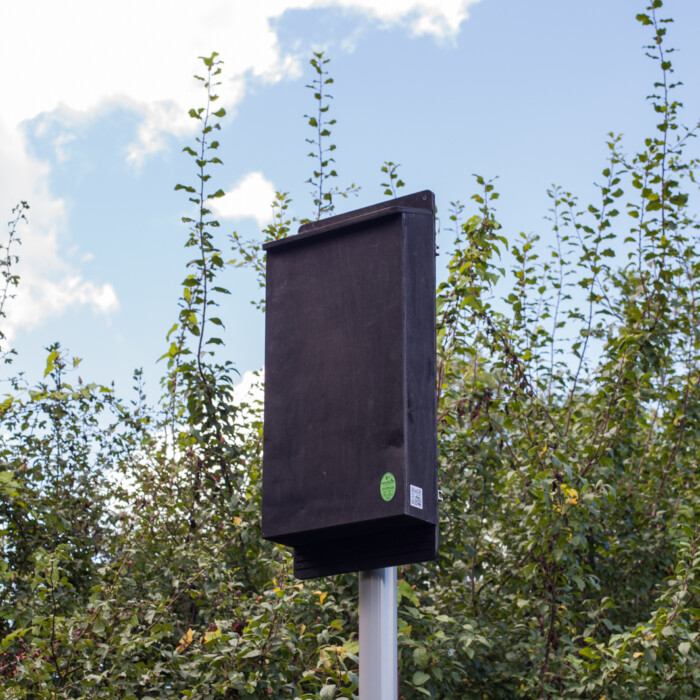 The Nestbox Company Pole Mounted Bat Box