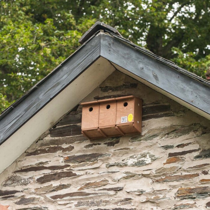 The Nestbox Company Sparrow Terrace Nest Box
