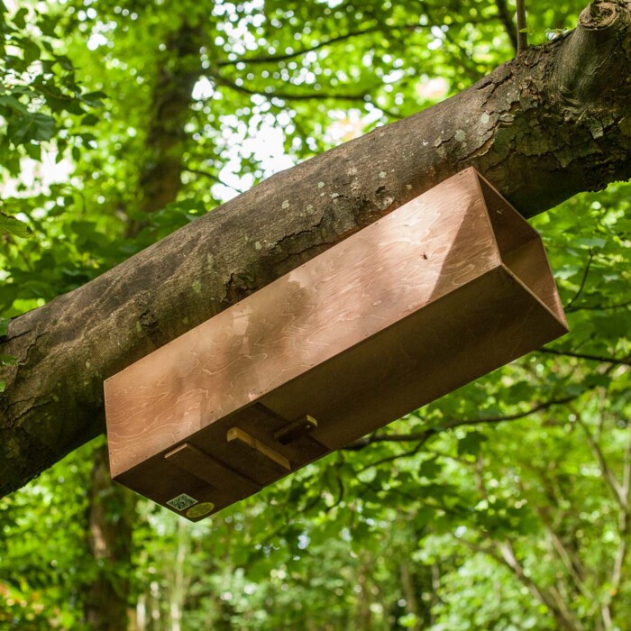 The Nestbox Company Tawny Owl Nest Box