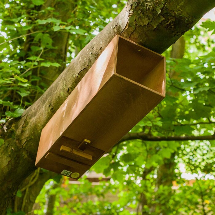 The Nestbox Company Tawny Owl Nest Box